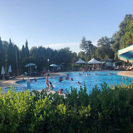 Toskana, Viareggio, Chalet Zona Rosa 1 Mit Klimaanlage Und Wlan Exteriör bild