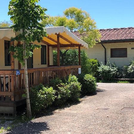 Toskana, Viareggio, Chalet Zona Rosa 1 Mit Klimaanlage Und Wlan Exteriör bild